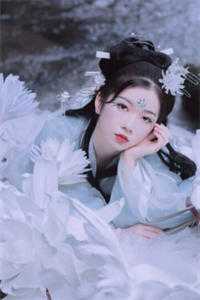 冬雪飘零，情散暮归处全文+番外