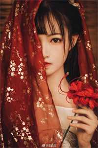 晚风寻遍人间月完整