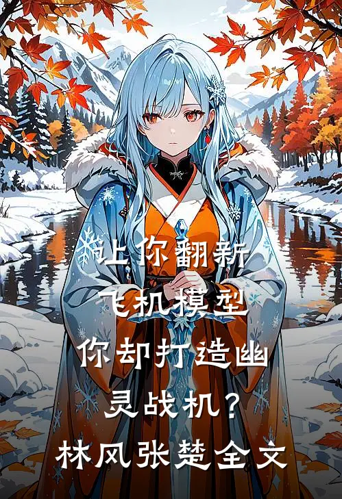 让你翻新飞机模型，你却打造幽灵战机？林风张楚全文