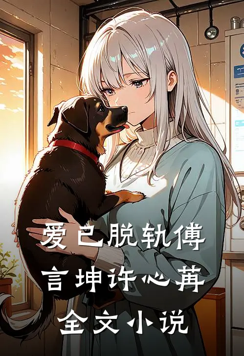 爱已脱轨傅言坤许心苒全文小说