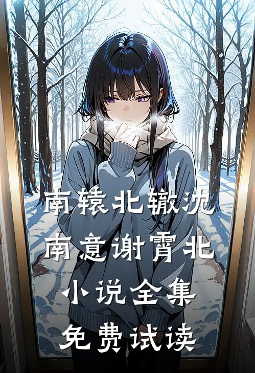南辕北辙沈南意谢霄北小说全集免费试读