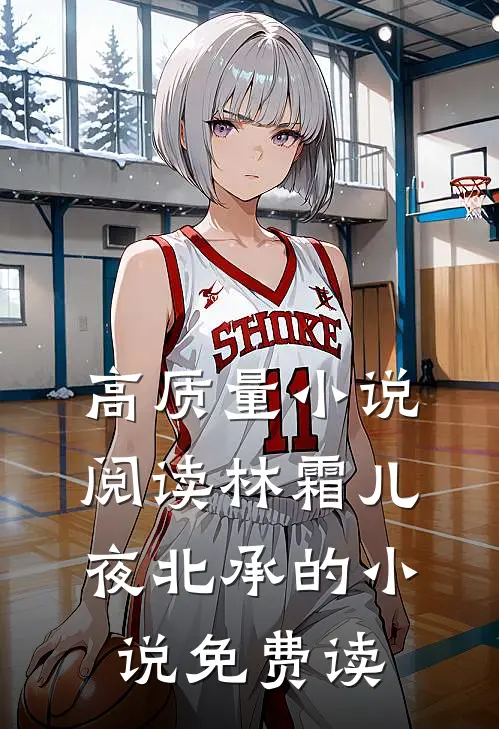 高质量小说阅读林霜儿夜北承的小说免费读