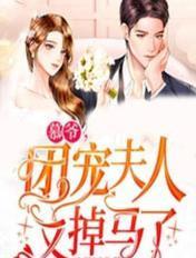 愿你明月梨花白小说