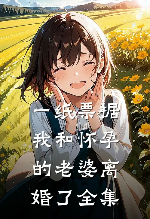 一纸票据，我和怀孕的老婆离婚了全集