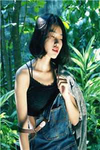 旧爱故里不相逢章节