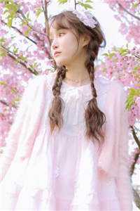 落日不曾回望我小说全文免费阅读