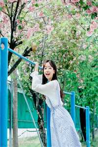 一叶知秋，半生知寒完整阅读