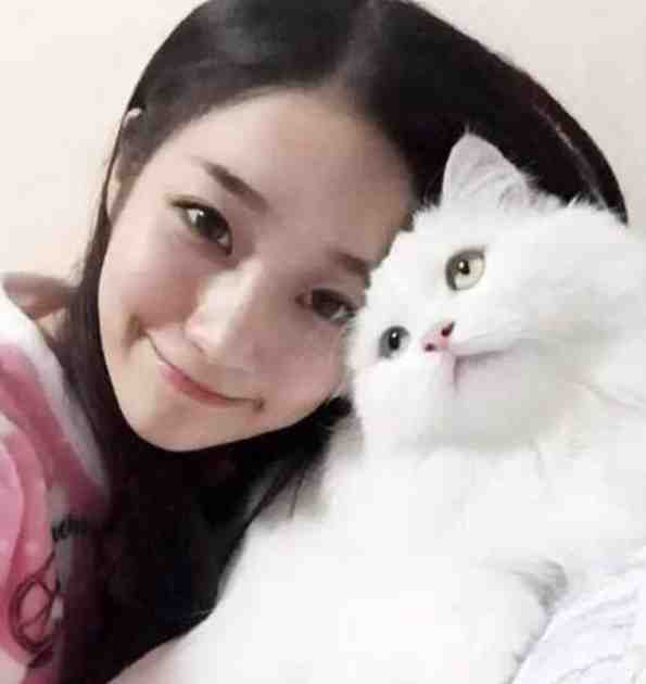 一席幽梦扰清欢推荐