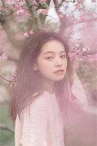 春风不覆山河恙爆款宝藏