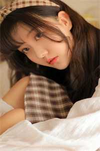 雾起北城忆旧年人气小说