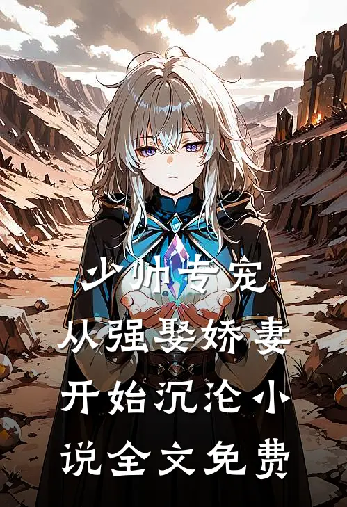 少帅专宠：从强娶娇妻开始沉沦小说全文免费
