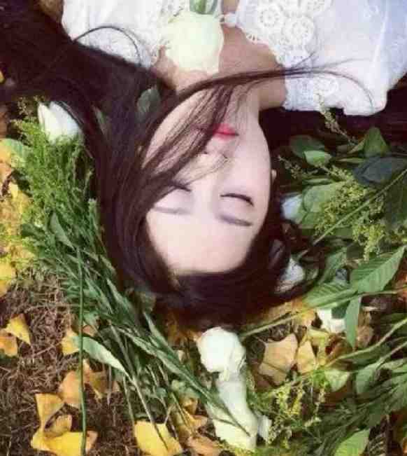 落日不曾回望我短篇小说阅读