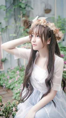 愿摘明月坠衣襟无删减版