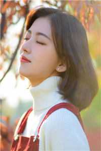 至此情深了无痕前文+后续