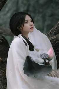 情似流萤，陨于长夜小说大结局