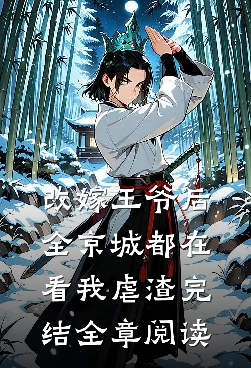 改嫁王爷后,全京城都在看我虐渣完结全章阅读