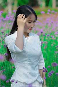 月下苏幕遮畅读