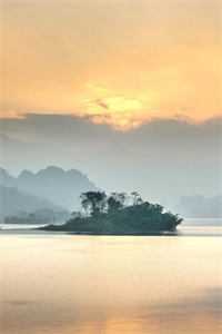 岁时予痛终成空好看的小说推荐完结