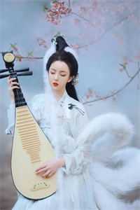 一叶知秋，半生知寒精选