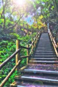 国公爷今日火葬场了吗人气小说