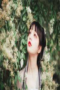 风掠长街花辞树未删减版