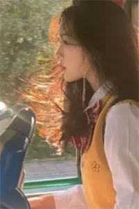 我决意赴死后，迟来的爱才汹涌江亦辰苏晚晚大结局