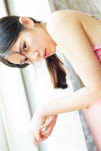 晚星沉海不再归免费