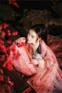 西风不见旧时景全局