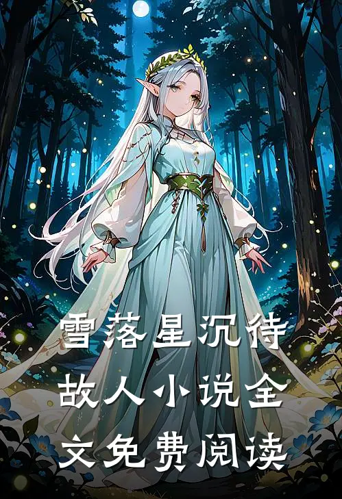 雪落星沉待故人小说全文免费阅读