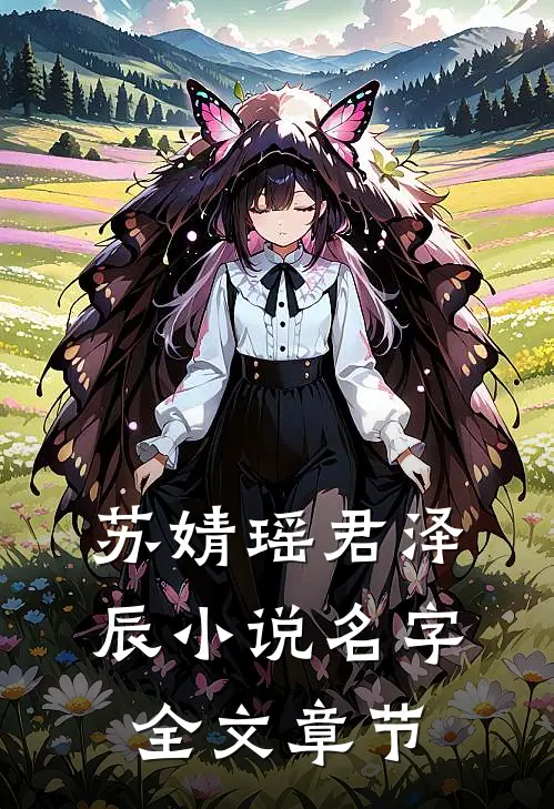 苏婧瑶君泽辰小说名字全文章节