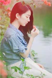 她也曾踏雪而来精修版