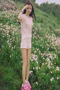 五岁萌宝：开局带失忆娘找司令爹畅读