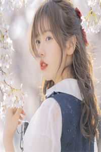 忽闻秋风起，送君永不归全集