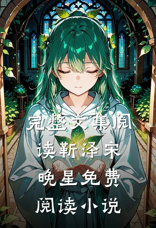 完整文集阅读靳泽宋晚星免费阅读小说