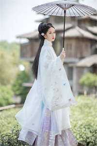 述尽平生空待白全文+番外