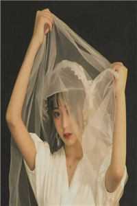 兰因絮果终成雪小说免费阅读全文