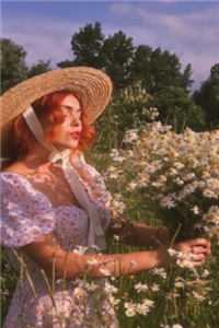 朝露未晞，且让红尘爆款宝藏