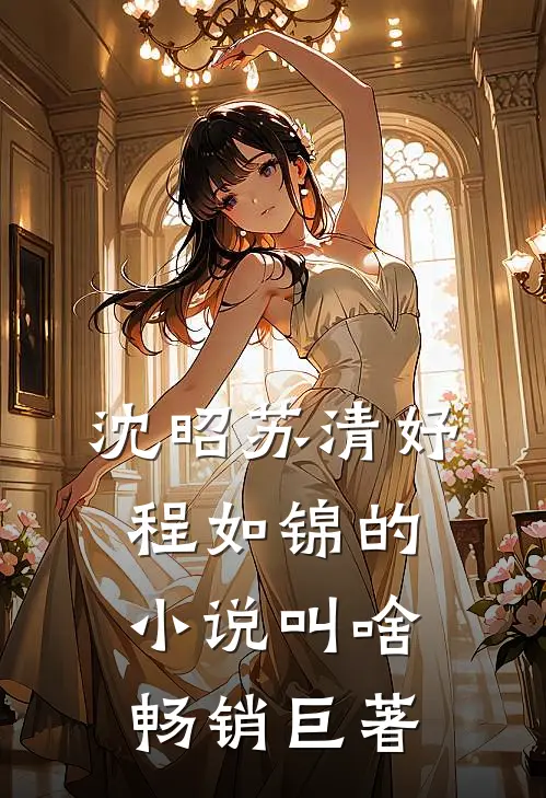 沈昭苏清妤程如锦的小说叫啥畅销巨著