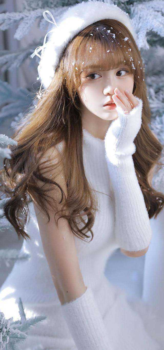 魂穿青楼，禁欲太子夜夜赖上我最完整版