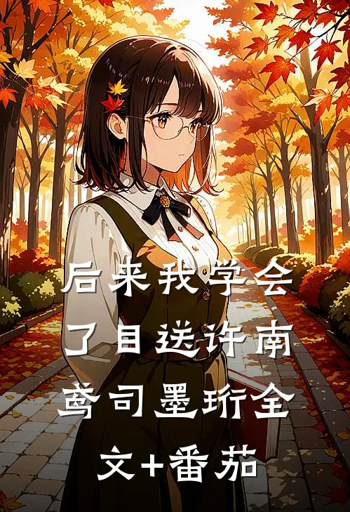 后来我学会了目送许南鸢司墨珩全文+番茄