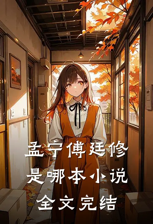 孟宁傅廷修是哪本小说全文完结