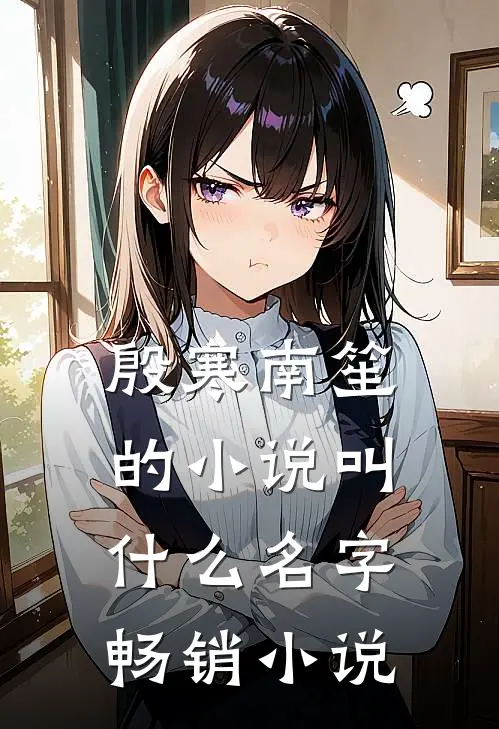 殷寒南笙的小说叫什么名字畅销小说