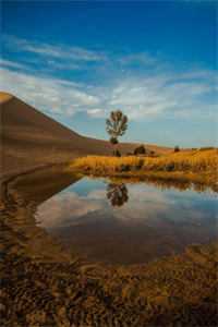 五夫捧娇：种田小娘子她身软体甜阮娇娇阮娇娇赵铁山后续+全文