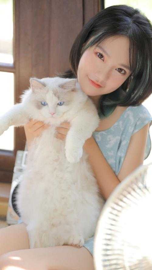 未婚妻和男助理同吃一颗汤圆后，我撤资了连载