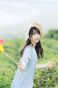 半窗疏影渡流光精选