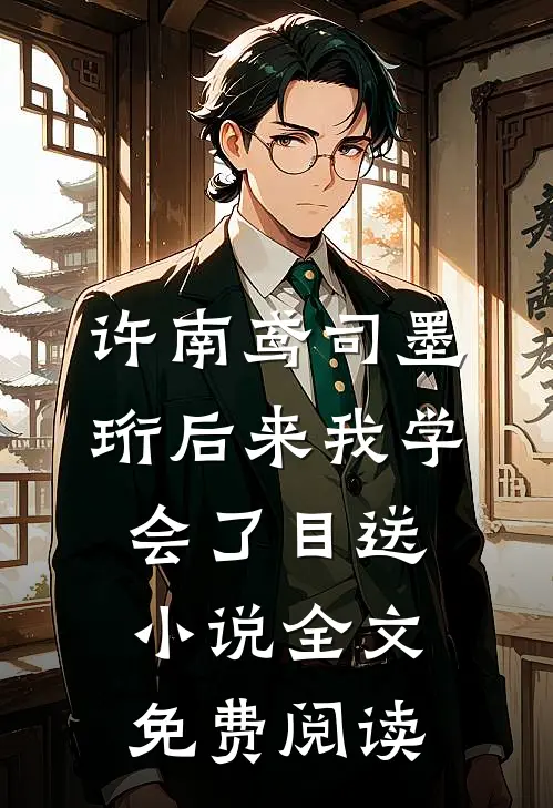 许南鸢司墨珩后来我学会了目送小说全文免费阅读