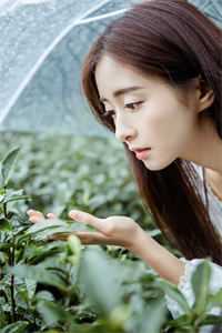 异世争霸：这个恋爱必须谈！完整作品