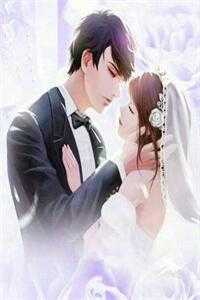 月落空庭雪满衣无广告