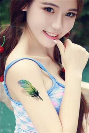 山茶花读不懂白玫瑰全文免费阅读