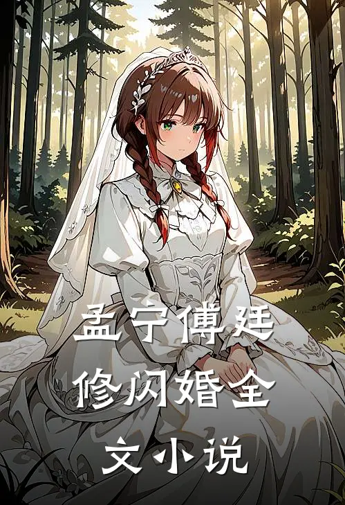 孟宁傅廷修闪婚全文小说
